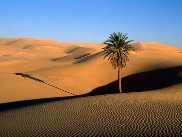 الصحراء