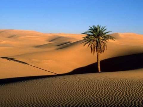 الصحراء